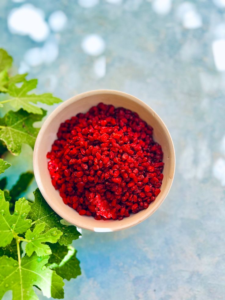 Customs Clearance & Import Regulations for Bulk Iranian Barberries in EU, Middle East & Africa